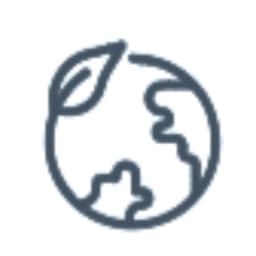 VH Global Export