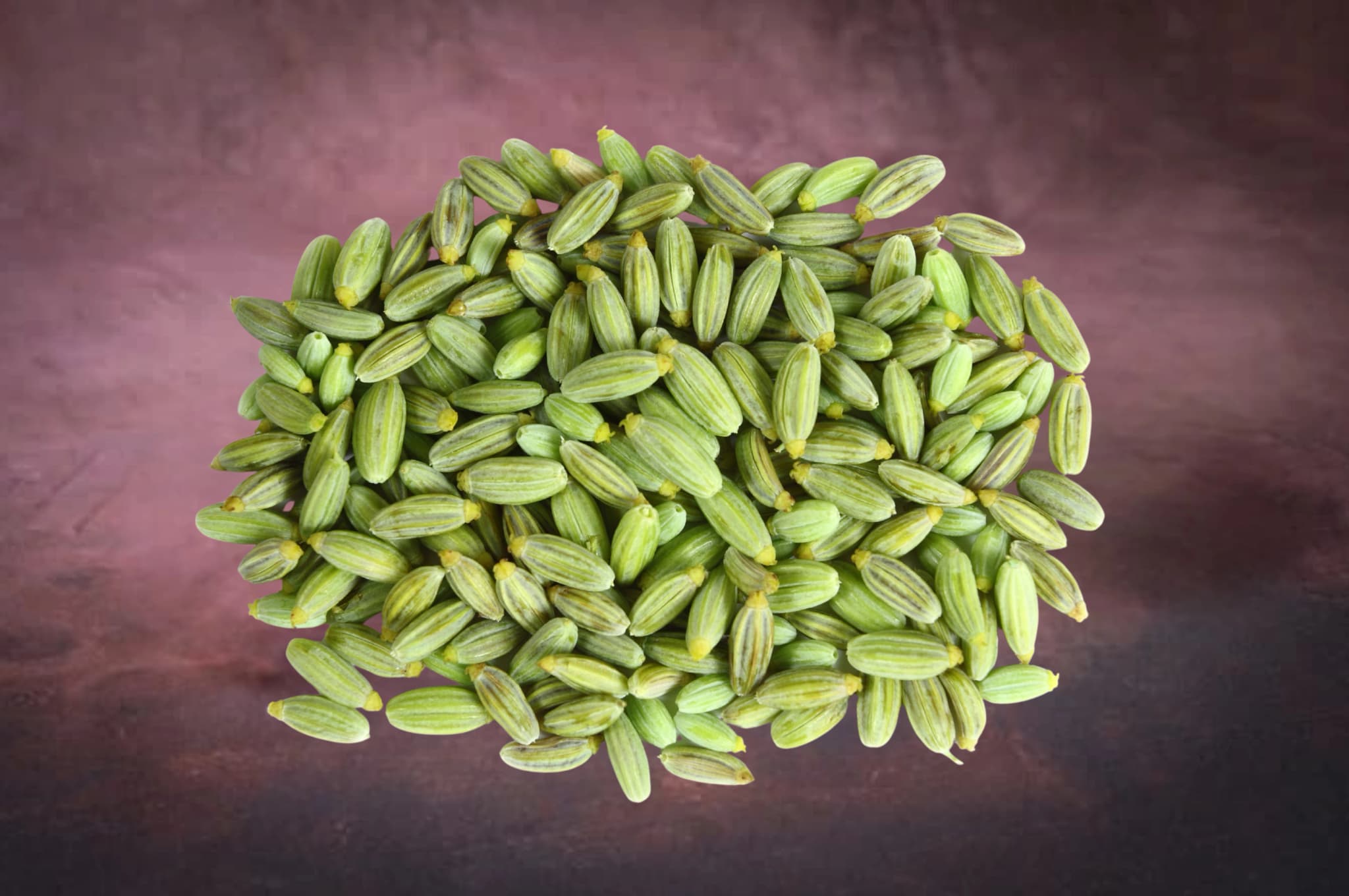 Fennel Seed