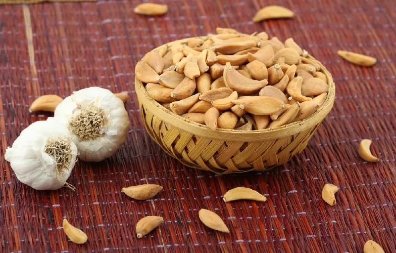 The Ultimate Guide to Fresh vs. Dried Garlic: Making the Smart Choice for Your Kitchen